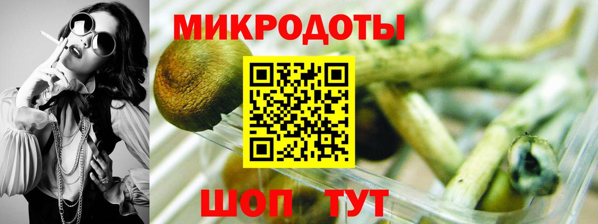 Галлюциногенные грибы Psilocybe  Вход с VPN  Ковров  Псилоцибиновые грибы Magic Shrooms 