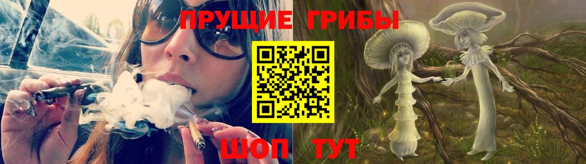 Псилоцибиновые грибы Magic Shrooms Ковров